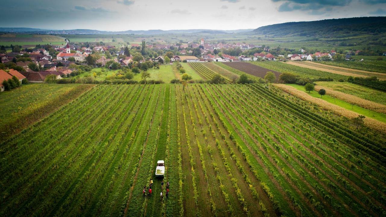 Weingut Familie Krell Hotel Mitterretzbach Esterno foto